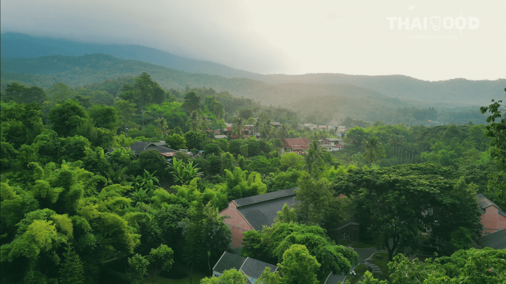 Flora Creek Chiang Mai